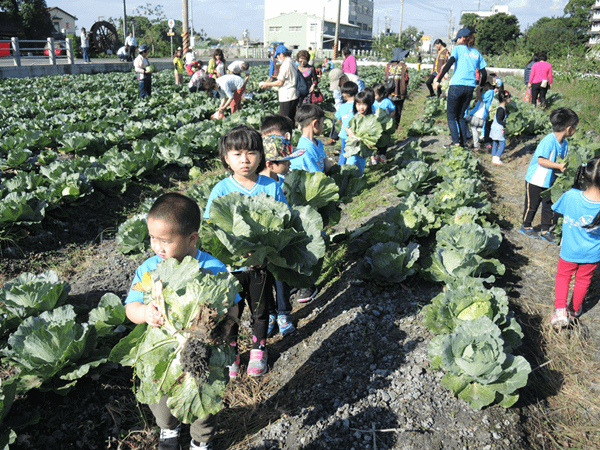 二水鄉農會義賣高麗菜 呼籲多多買菜救救農民5.png