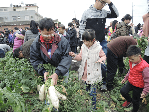 彰化台電相挺蘿蔔農 第二十年親子拔蘿蔔享田園之樂4.png