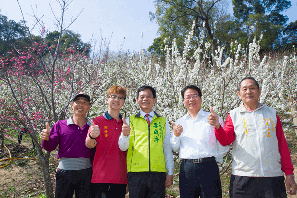 花壇虎山岩李花盛開 228連假賞花趣2.png