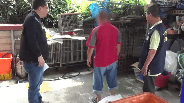 社頭十八彎古道水鹿遭獵殺 田中分局迅速查獲1.png