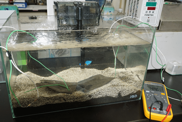 水族缸的水該換嗎？大葉大學測電流評估換水參考獲發明專利2.png