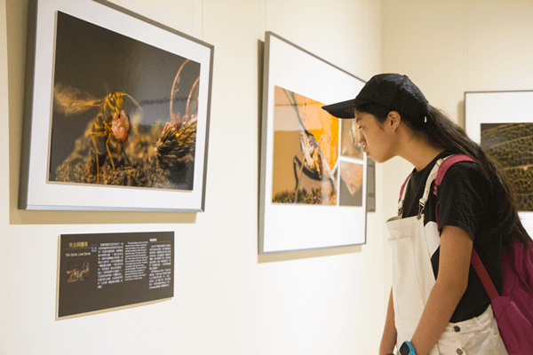 彰化縣立美術館首度與科博館合作 展現「驚豔‧新視野」 科學藝術之美3.png