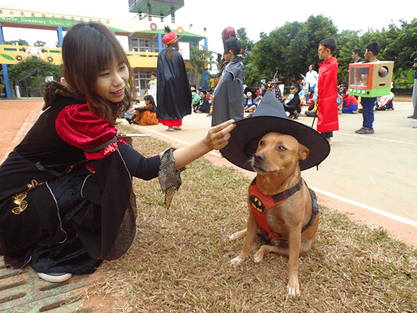 文德國小生命教育扎根校園 全校師生一同歡送校犬畢業5.png