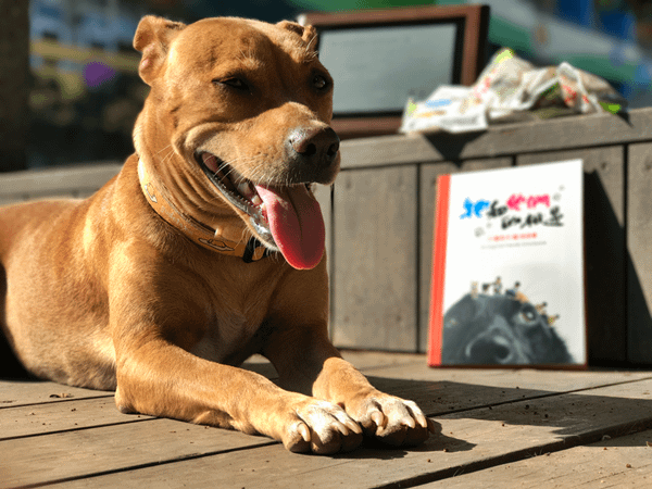 文德國小生命教育扎根校園 全校師生一同歡送校犬畢業7.png