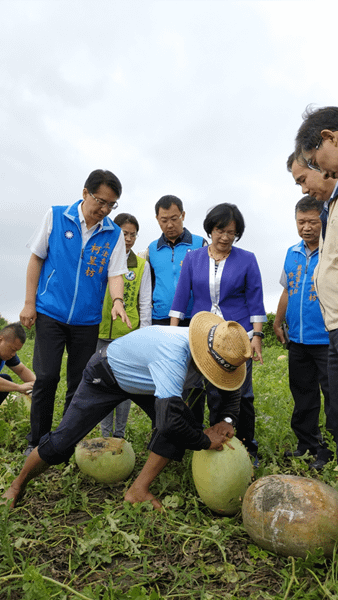 大雨重創彰化縣西瓜農 王惠美與柯呈枋偕農糧署到場勘災農損4.png