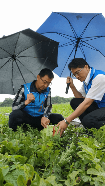 大雨重創彰化縣西瓜農 王惠美與柯呈枋偕農糧署到場勘災農損6.png