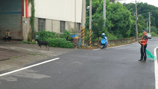 野狗想吃人驚悚畫面曝光 彰化少年慘遭流浪犬攻擊險命危6.png