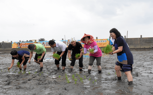 彰化二林香田國小食農教育夏令營開課 體驗農事下田插秧趣2.png