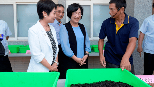 田中鎮率全縣之先飼養黑水虻 去化廚餘創造循環經濟效益6.png