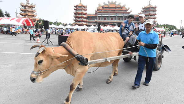 2019國際海牛文化節 發揚芳苑潮間帶牛車採蚵文化1.png