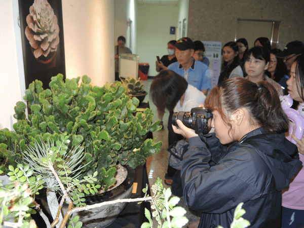 彰化多肉植物評鑑賽 「蟻巢玉」獲第1名多肉王3.png