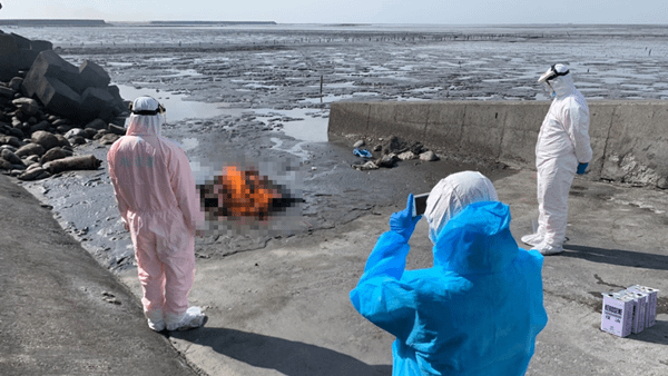 彰化大城海堤連日驚見死亡屠體 海巡防疫戒備並加強岸際巡查2.png
