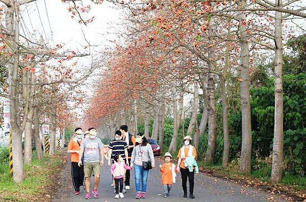 埤頭鄉木棉花季登場 東螺溪畔親子健行賞花5.jpg