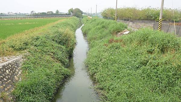 二林鎮地區水利建設視察 王惠美指示加速治理減少積淹水5.jpg