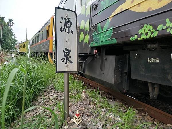 二水集集線鐵道旁花旗木太吸睛 5歲幼童遭火車撞傷送醫2.jpg