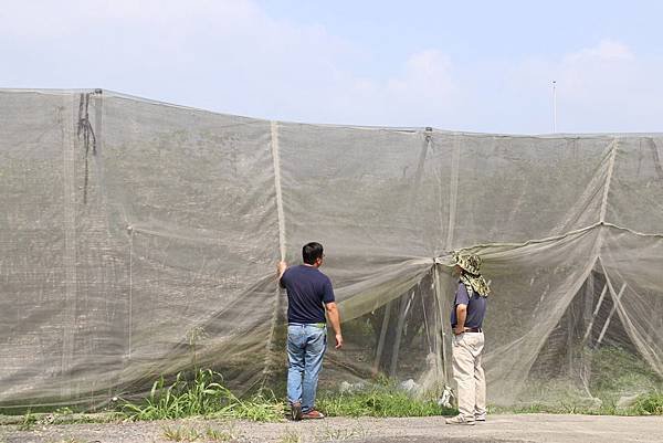 大陸冷氣團今報到 農糧署：強化農作物防寒措施1.jpg