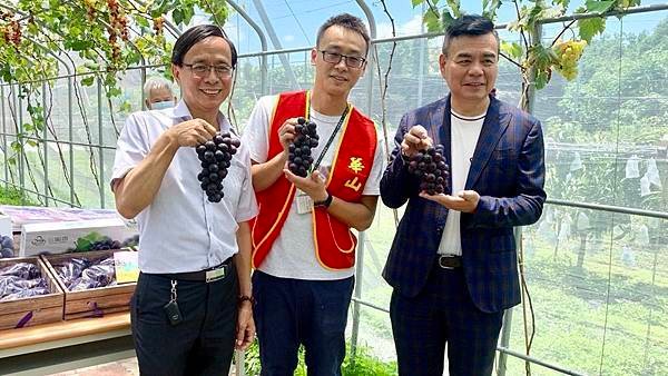 埔心鄉農會串串葡萄 義賣助華山孤老2.jpg