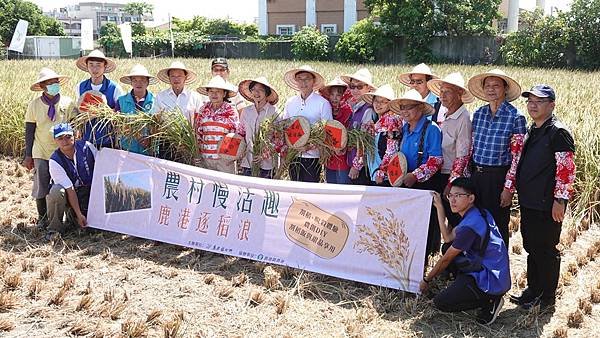 鹿港農村慢活趣 親子下田割稻體驗農民辛苦9.jpg