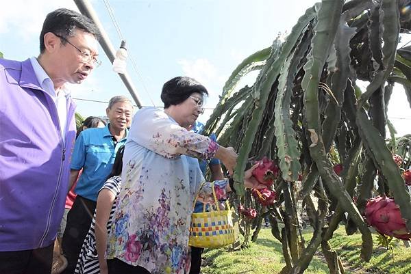 王惠美訪竹圍莊菇果園 鼓勵用農遊券挺農友3.jpg