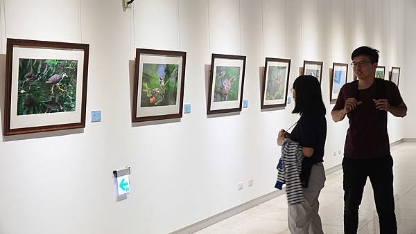 臺灣野鳥之美攝影展 許桂益用照片說故事3.jpg