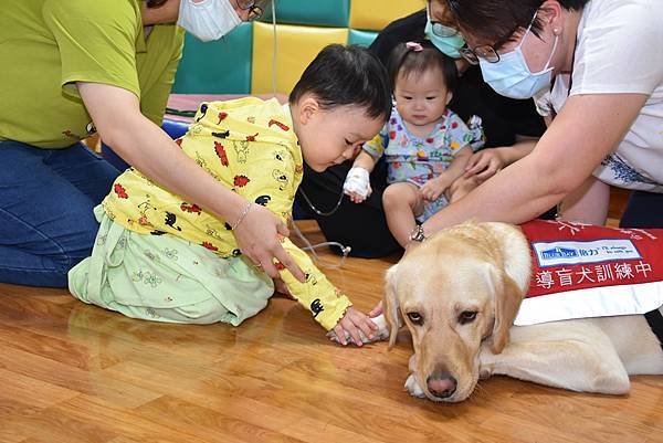 彰基兒童醫院醫療輔助犬 療癒病童身心靈5.jpg