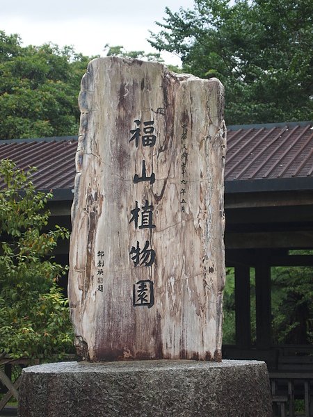 P7289369.JPG