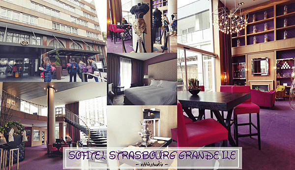 6_SOFITEL_STRASBOURG_GRANDE ILE.png