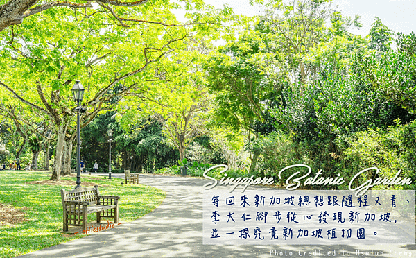 2_Singapore Botanic Garden.png