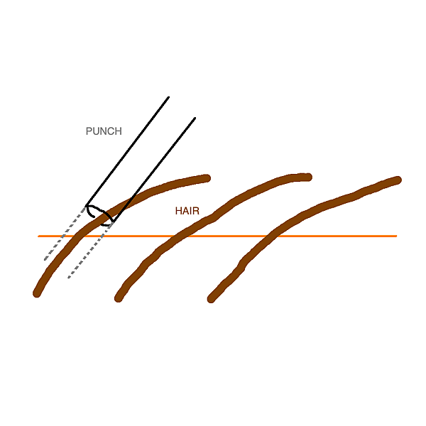 Non shaving3.png