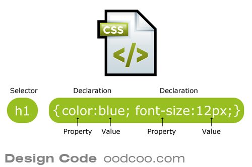 css-banner.jpg