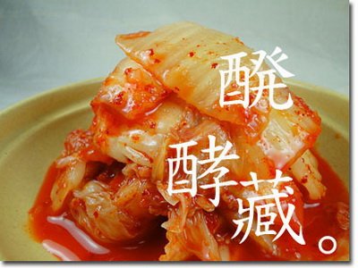 東村韓國泡菜發酵週期表