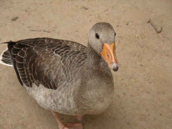 20100821 0092.JPG