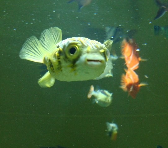 20110109 003.JPG