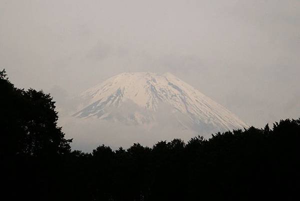 20110505 000.jpg