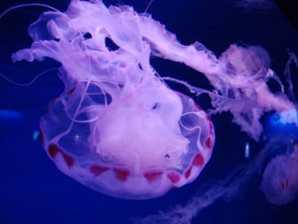 20010702 011.jpg