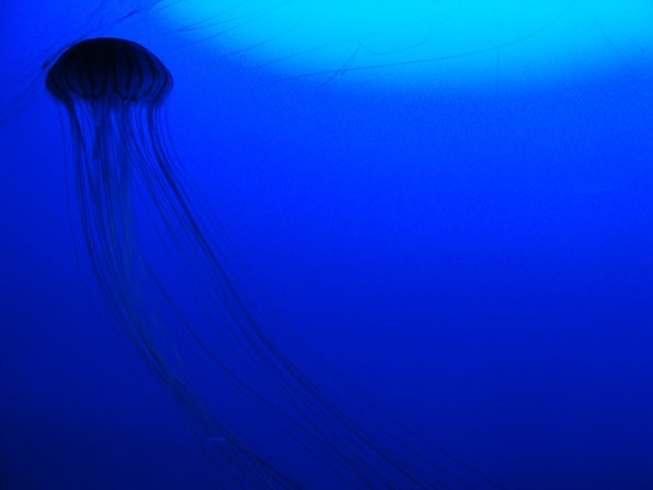 20010702 014.jpg