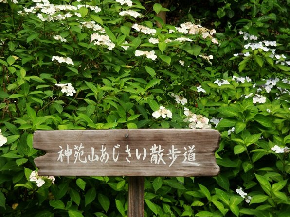 20110702 100.jpg