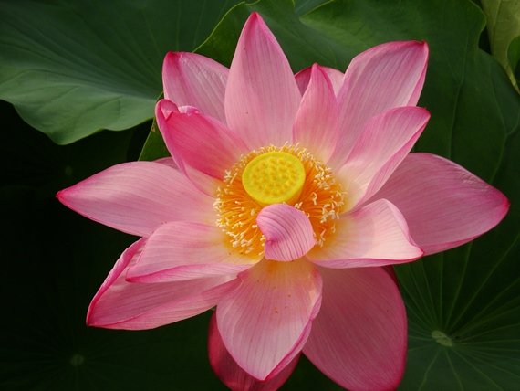 20110718 007.jpg