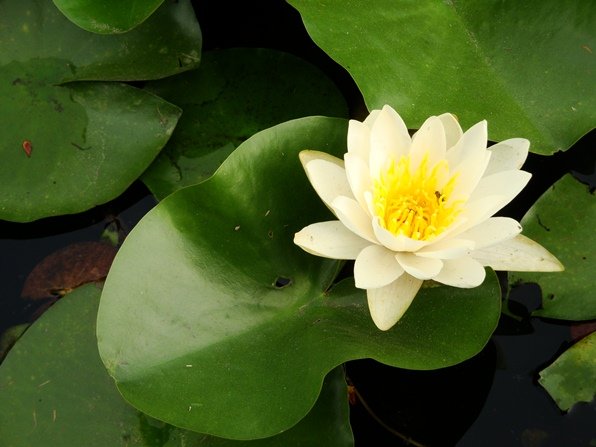 20110718 008.jpg