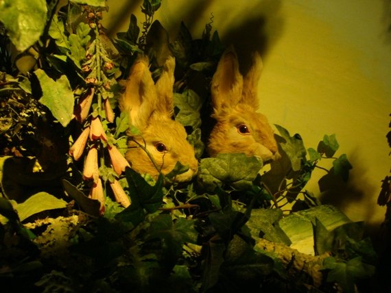 20100818 008.JPG