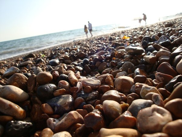 B011.JPG