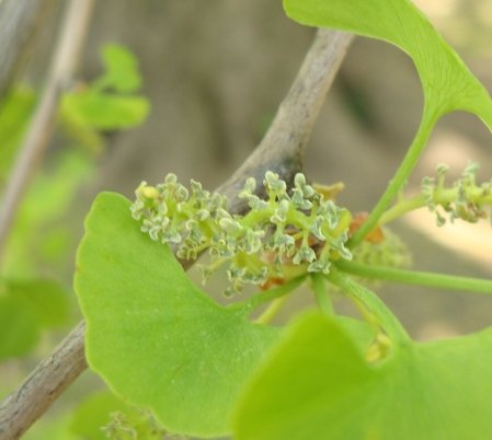 20100502 00.JPG
