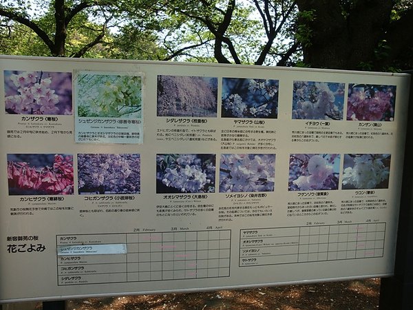 20100502 01.JPG