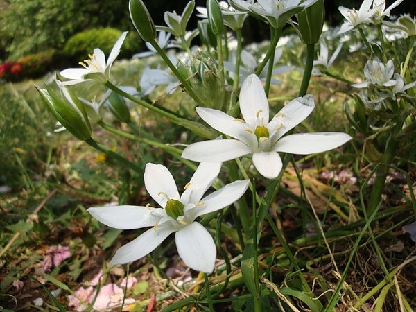 20100502 08.JPG