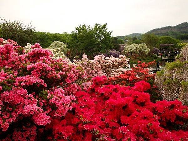 20110504 013.jpg