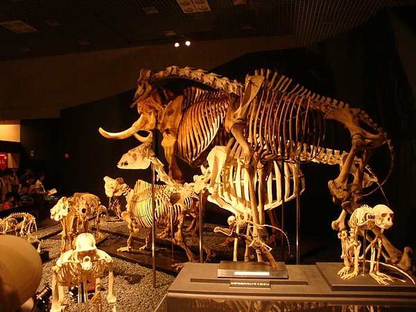 20100606 06.JPG