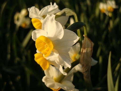 20110109 014.JPG