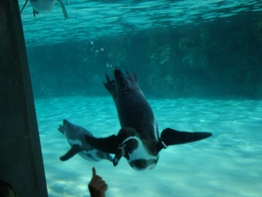 20110109 007.JPG