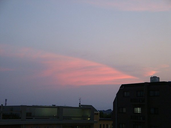 20100724 00.JPG