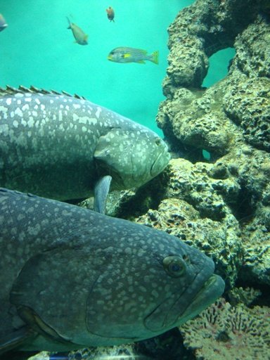 20110109 002.JPG